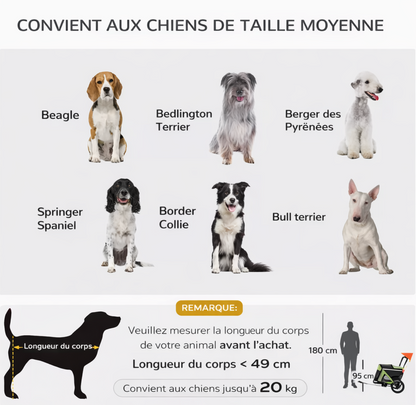 Remorque à vélo  pour animaux 2 en 1