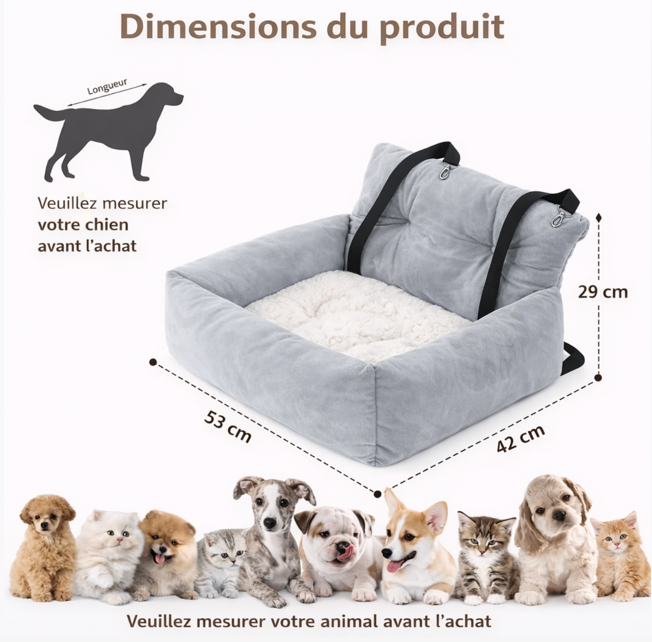Siège Auto Confort pour Chien – Coussin Surélevé avec Housse Lavable