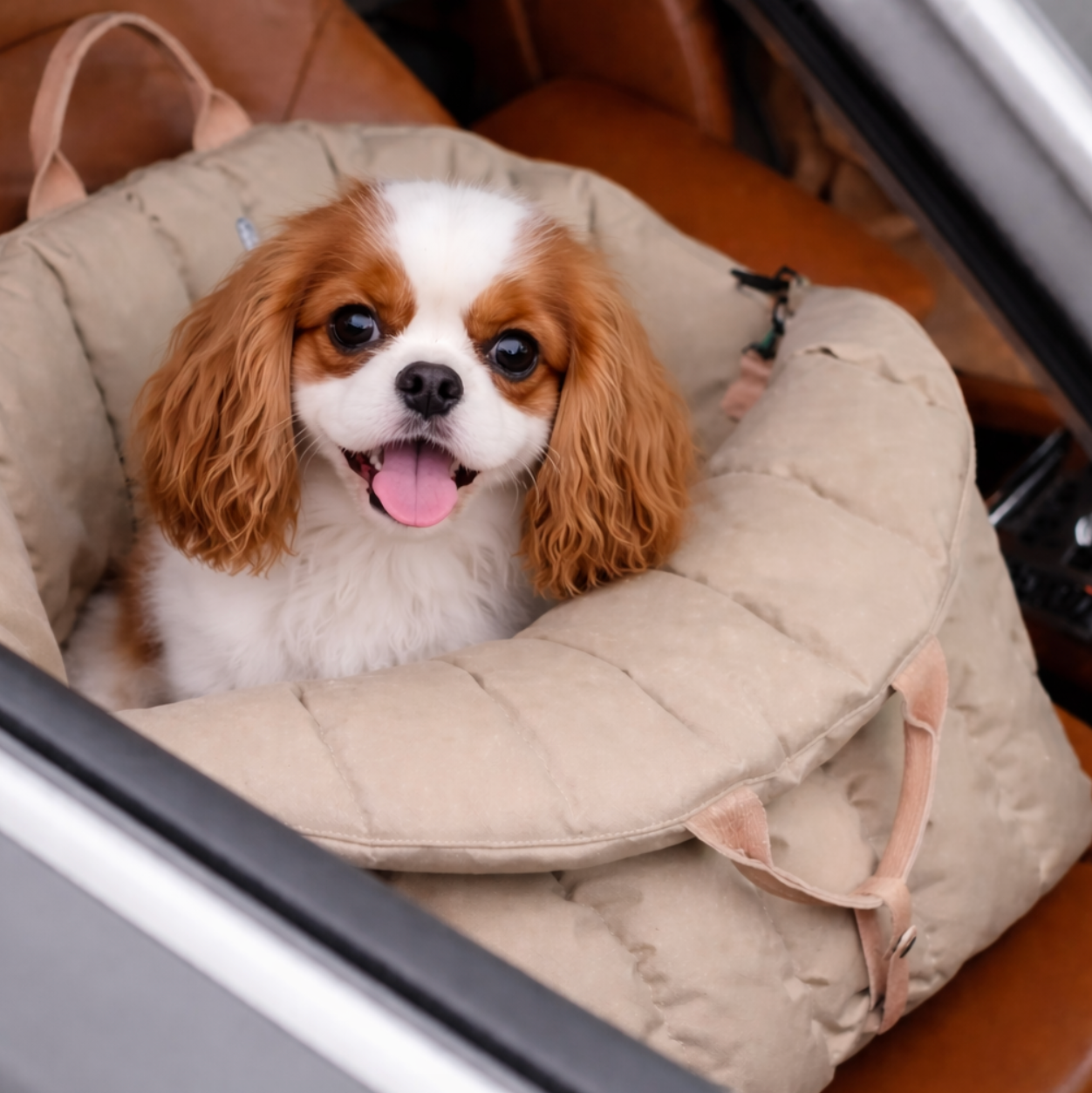 Sac de Transport Confort pour Chat – Siège Auto Sécurisé et Moelleux
