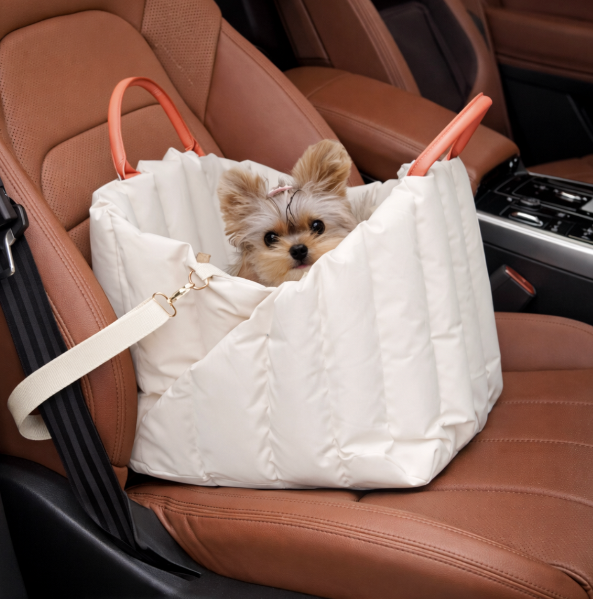 Sac de Transport Confort pour Chat – Siège Auto Sécurisé et Moelleux