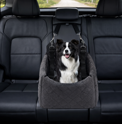 Siège Auto Sécurisé pour Chat et Petit Chien – Panier de Transport Confortable pour Voiture
